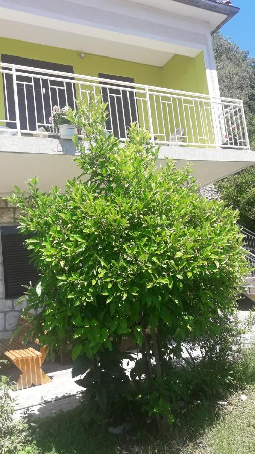 Apartment Dragone Ulcinj Exterior photo