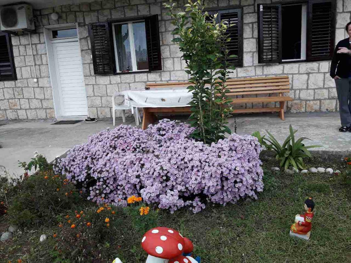 Apartment Dragone Ulcinj Exterior photo